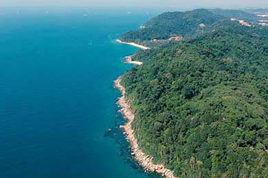 VALORANT 职业选手竞技状态火热，valorant职业选手设置